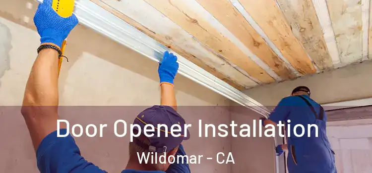 Door Opener Installation Wildomar - CA