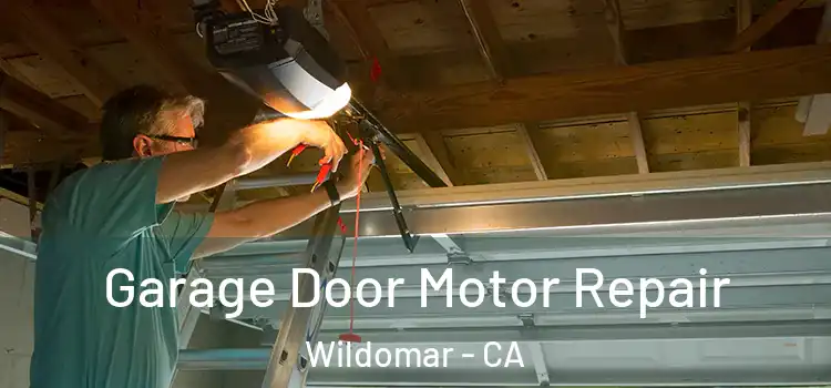  Garage Door Motor Repair Wildomar - CA