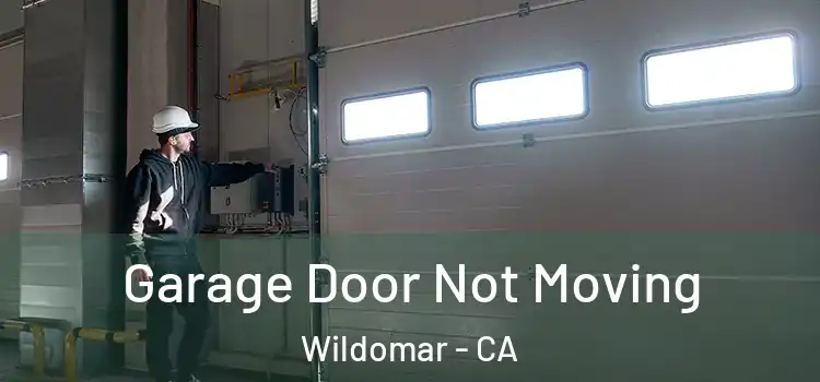  Garage Door Not Moving Wildomar - CA