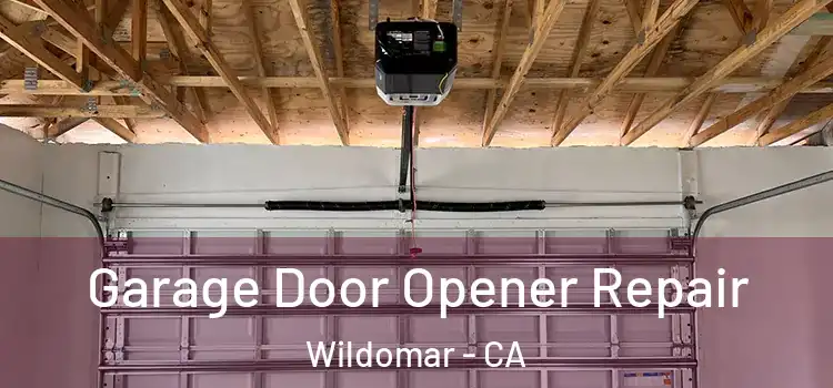  Garage Door Opener Repair Wildomar - CA