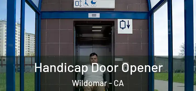  Handicap Door Opener Wildomar - CA