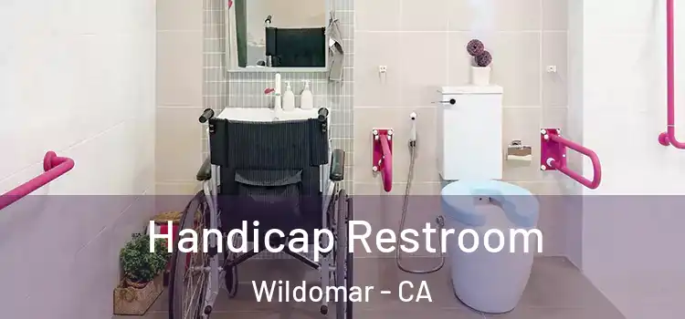 Handicap Restroom Wildomar - CA