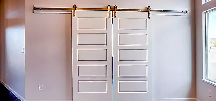 Glass Barn Door with Installation Hardware Kit Wildomar