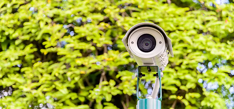 Advanced Surveillance Solutions for Every Need in Wildomar