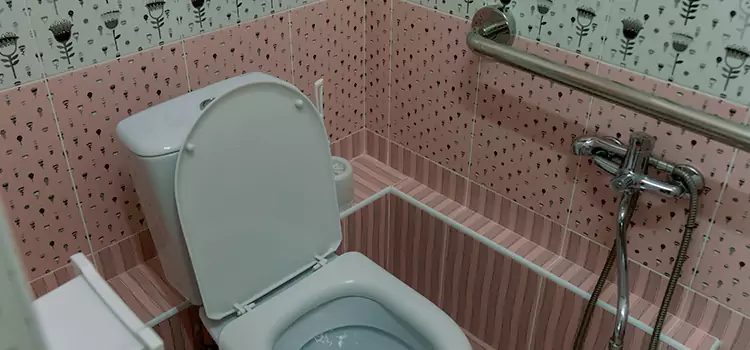 Meeting Diverse Needs With Accessible Restroom Solutions in Wildomar, CA