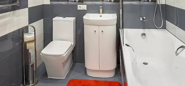 Hansgrohe Shaving Mirror Wildomar