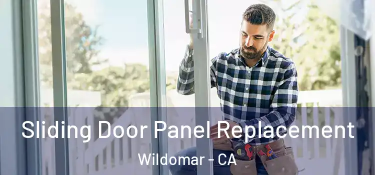  Sliding Door Panel Replacement Wildomar - CA